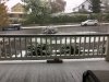D98F7AB0-E937-47D7-8FE1-206BCD845E8E.jpeg