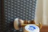 SotD 13.10.2019 NEU Forum.JPG