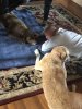 IMG_1798.jpeg