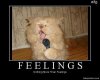 Feelings 2.jpg