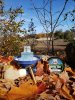 21 10 19a.jpg