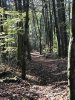 Nov 10-4.jpg
