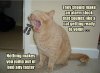 Cat Barf Alarm.jpeg