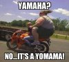 a-yo-mamma.jpg