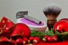SotD 08.12.2019 Forum.JPG