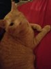 20191229_064559_resize_17.jpg