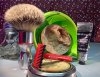 sotd-afeitado-del-dia-x-4.jpg