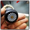 El Druida Zebrab.jpg
