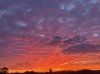 IMG_20200129_071447~2.jpg
