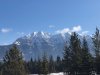 IMG_4556.jpg