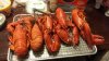 LobstersCooked.jpg