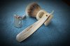 SOTD_022220.jpg