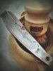 SOTD_030720.jpg