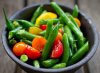 Green-Bean-Salad-1-0810.jpg