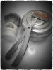 SOTD_031020.jpg