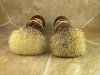394 left 26mm high density and 395 right 24mm.JPG