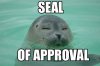 As+a+canadian+i+approve+of+this+message+_123d655ea594f529ee42580201f80162.jpg