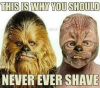 Chebacashave.png
