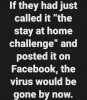 stay at home challenge.jpg