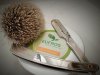 SOTD_040620.jpg