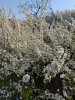 IMG_8512.jpeg