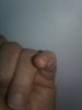 20200417_010457.jpg