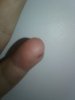 20200417_010058.jpg