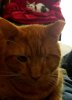 20200418_155743_resize_5.jpg