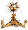 bill the cat.jpg