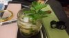 MintJulep.jpg