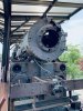 IMG_8695.jpeg