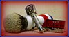 DSCF0055 - Edited.jpg