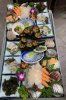 IMG_8805.jpeg