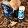 SOTD 06.16.2020.jpg