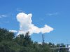 20200619_123258_resize_16.jpg
