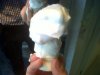 IMG00229-20120106-1348.jpg