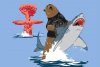 sharkbearexplosion.jpg