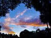 20200718_064550_resize_28.jpg