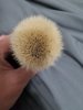 20200805_072752_compress51.jpg