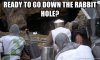 ready-to-go-down-the-rabbit-hole.jpg