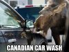 27c0aa1f4c922be0a0ce6144a076e46e.jpg