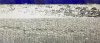 2548FF4F-73AF-41C4-998C-58EFACC2ACE5.jpeg
