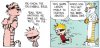calvinball1.jpg