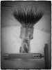 SOTD_092620.jpg