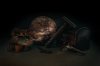 Resized_Merged.jpeg