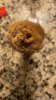 IMG_5481.jpeg