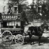 horse_and_cart.jpg