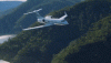 ElaborateVictoriousBaiji-max-1mb.gif