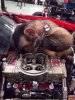 20201014_205754.jpg