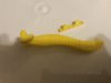 yellowabbit05.JPG